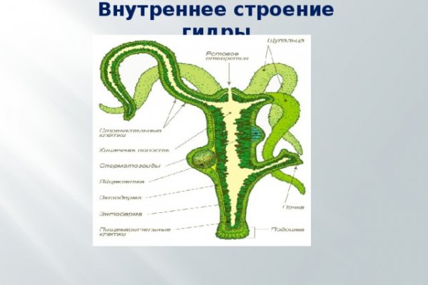 Кракен правила площадки