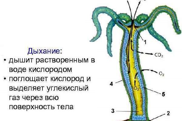 Даркнет маркет кракен onion